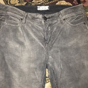 Free People Crop/Capri Cords Gray 28